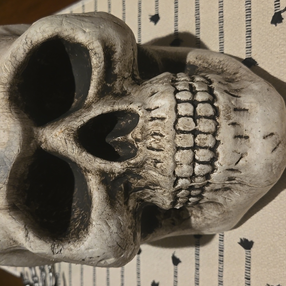 Halloween Skull - Picture 2 of 6
